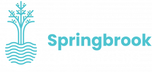 Springbrook Partnership